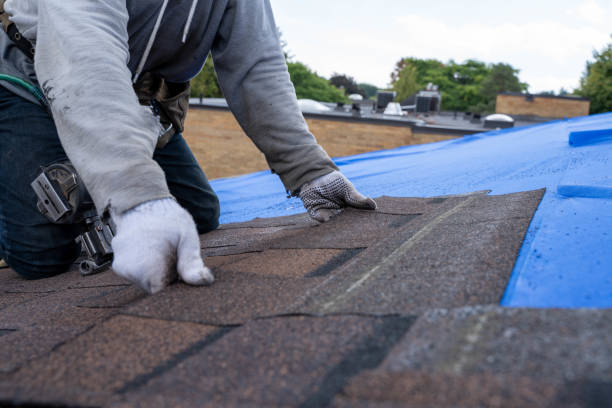 Best New Roof Installation  in Moorefield, WV