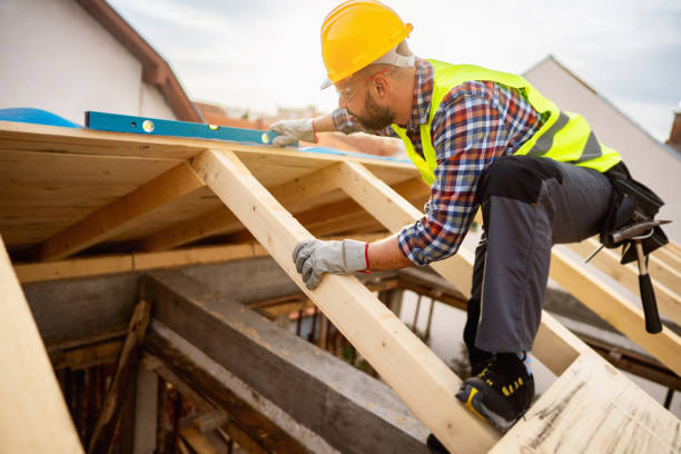 Best Roof Gutter Cleaning  in Moorefield, WV